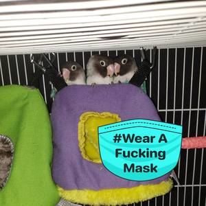 Meet your Posher, Maria